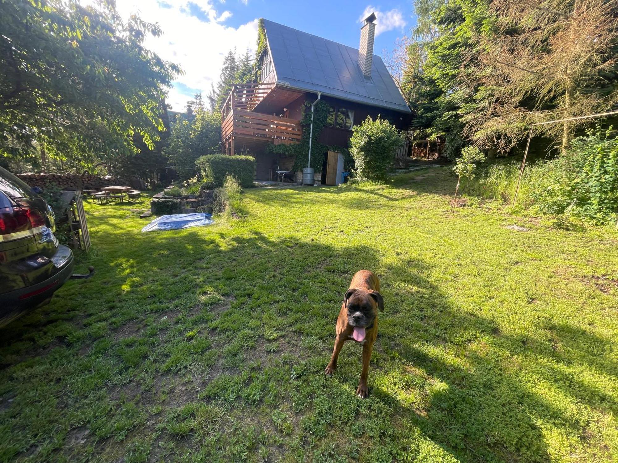Chata Dagmar Třebíč Exteriér fotografie